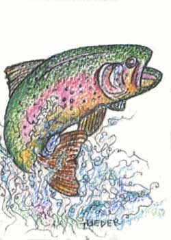 "Big Splash" by Tom Lieder, Janesville WI - Colored Pencil, Pen & Ink
